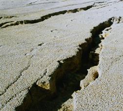 large cracks in sand along a creek cause by Escambia County earthquake
