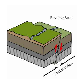 Reverse Fault