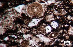 chattanooga shale under microscope